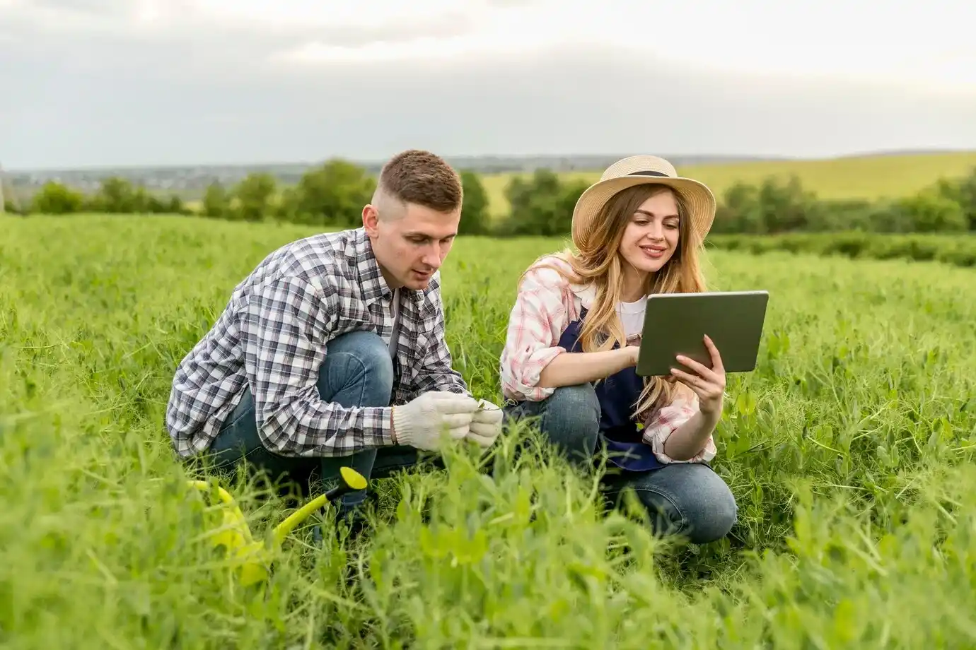 Agriculture