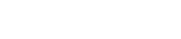 BridgeUSA